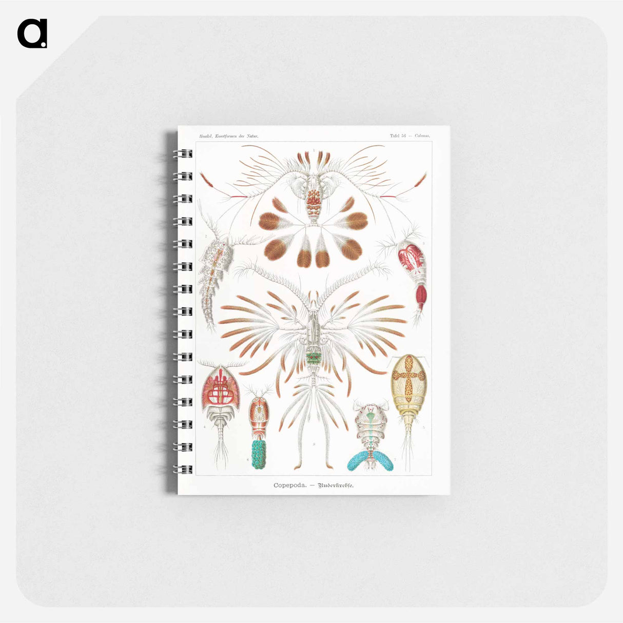 アートメモ帳-Copepoda–Ruderkrebse - エルンスト ヘッケル Memo.
