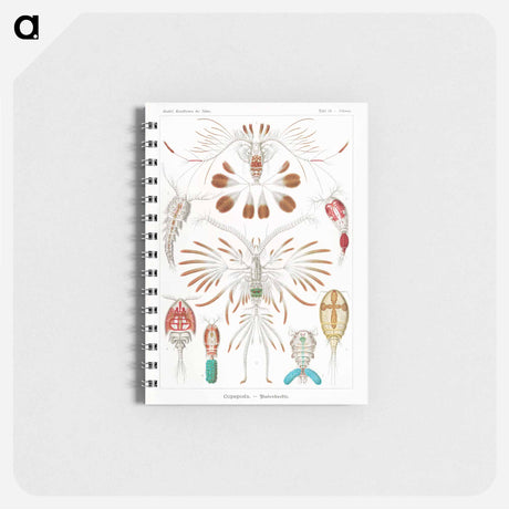アートメモ帳-Copepoda–Ruderkrebse - エルンスト ヘッケル Memo.
