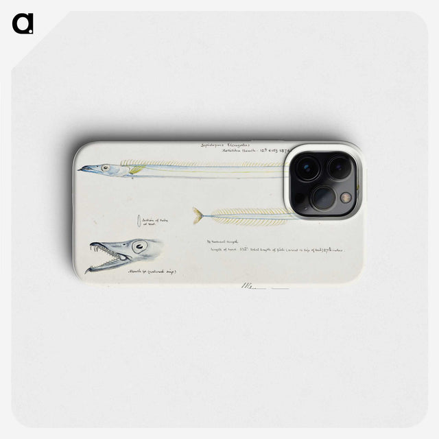 1-81_Frank-Edward-Clarke_phone