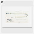 1-81_Frank-Edward-Clarke_picture
