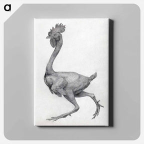 アートパネル-Fowl, Lateral View
 - ジョージ スタッブス Canvas.