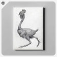 1-81_George-Stubbs_canvas