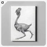1-81_George-Stubbs_canvas