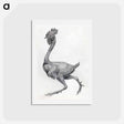 アートポストカード-Fowl, Lateral View
 - ジョージ スタッブス Postcard.
