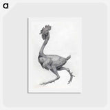 アートポストカード-Fowl, Lateral View
 - ジョージ スタッブス Postcard.
