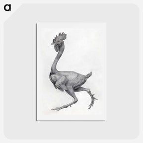アートポストカード-Fowl, Lateral View
 - ジョージ スタッブス Postcard.