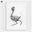 1-81_George-Stubbs_picture