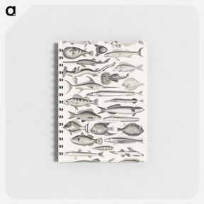 アートメモ帳-Ichthyology
 - ゴールドスミスの生き生きとした自然 Memo.