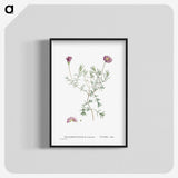 1-81_Histoire-des-Plantes-Grasses_blk-crop