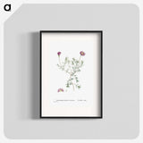 1-81_Histoire-des-Plantes-Grasses_blk