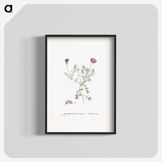 1-81_Histoire-des-Plantes-Grasses_blk