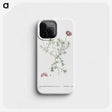 1-81_Histoire-des-Plantes-Grasses_phone