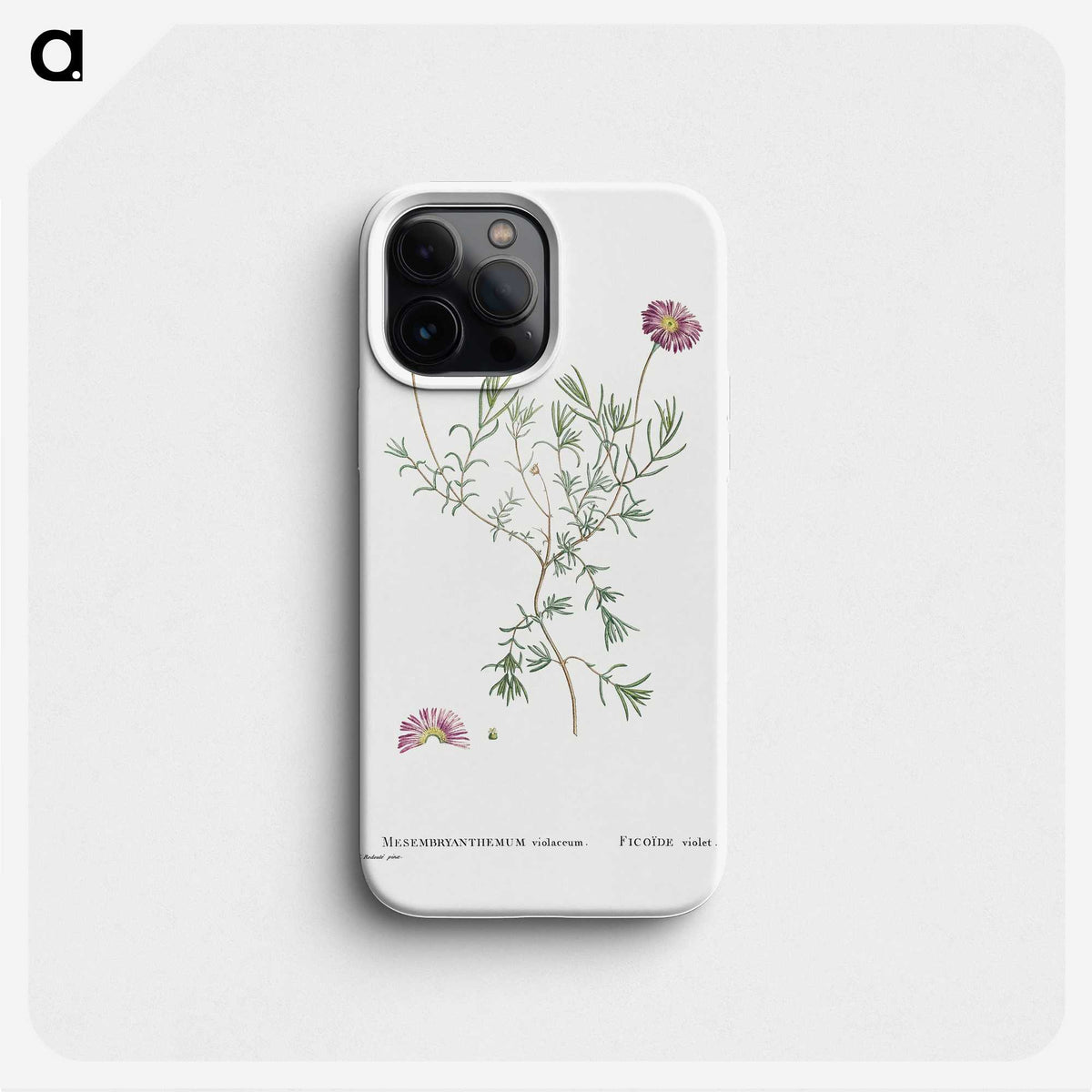 1-81_Histoire-des-Plantes-Grasses_phone