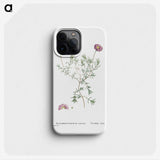 1-81_Histoire-des-Plantes-Grasses_phone