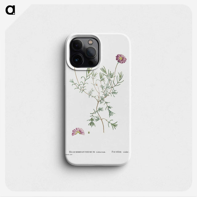 1-81_Histoire-des-Plantes-Grasses_phone