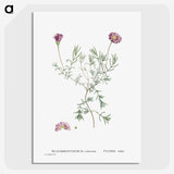 1-81_Histoire-des-Plantes-Grasses_picture-crop