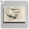 1-81_Hugo-Simberg_canvas