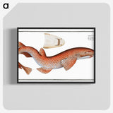 1-81_Ichtyologie-ou-Histoire-naturelle_blk-crop