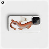 1-81_Ichtyologie-ou-Histoire-naturelle_phone
