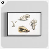 1-81_Indian-Zoology_blk-crop