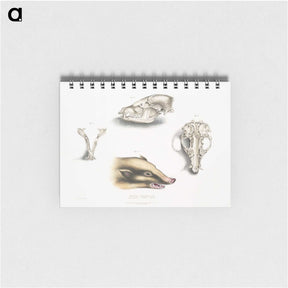 1-81_Indian-Zoology_memo