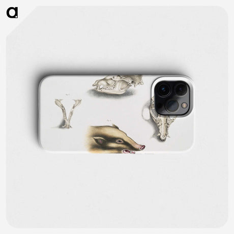 1-81_Indian-Zoology_phone