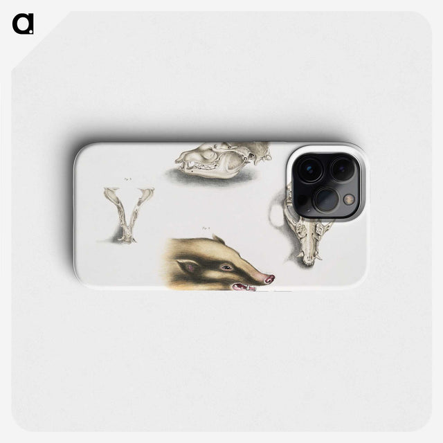 1-81_Indian-Zoology_phone