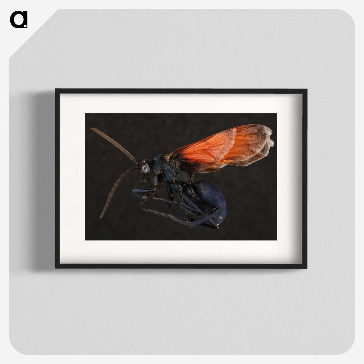 1-81_Insects-Unlocked-Project_blk