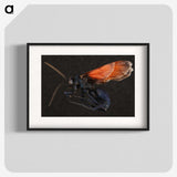 1-81_Insects-Unlocked-Project_blk