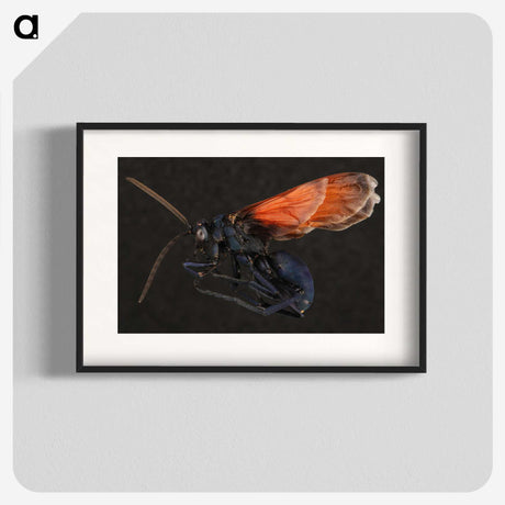 1-81_Insects-Unlocked-Project_blk