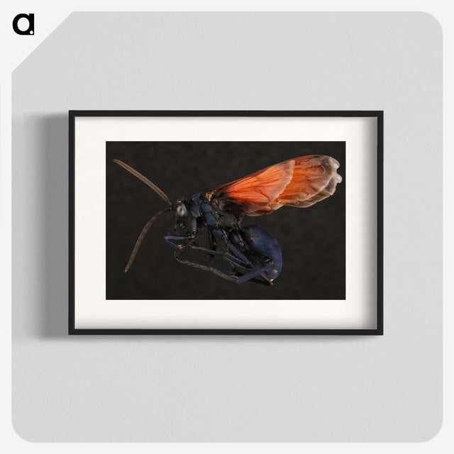 1-81_Insects-Unlocked-Project_blk