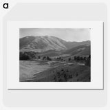 1-81_James-Walter-Chapman-Taylor_picture