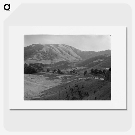 1-81_James-Walter-Chapman-Taylor_picture