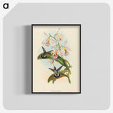 1-81_John-Gould_blk-crop