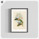 1-81_John-Gould_blk
