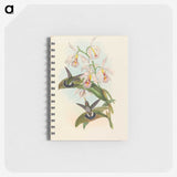 1-81_John-Gould_memo