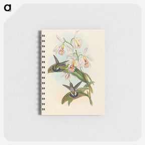 1-81_John-Gould_memo
