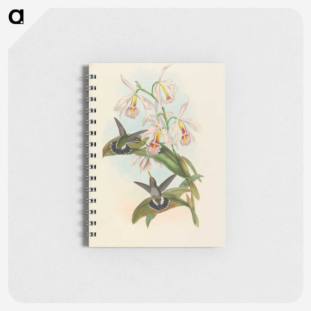 1-81_John-Gould_memo