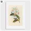 1-81_John-Gould_picture