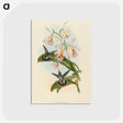 1-81_John-Gould_postcard
