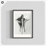 1-81_Karl-Blossfeldt_blk
