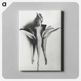アートパネル-Aquilegia Chrysantha - カール ブロスフェルト Canvas.