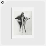 アートポストカード-Aquilegia Chrysantha - カール ブロスフェルト Postcard.