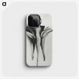 1-81_Karl-Blossfeldt_phone