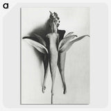 1-81_Karl-Blossfeldt_picture-crop