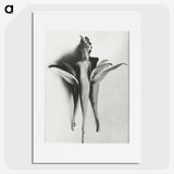 1-81_Karl-Blossfeldt_picture