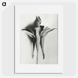 アートポスター-Aquilegia Chrysantha - カール ブロスフェルト Poster.