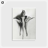 アートポストカード-Aquilegia Chrysantha - カール ブロスフェルト Postcard.
