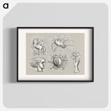 Pegasus, dove, woman's head, heraldry and hand with rose - レオ ゲステル Poster.