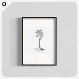 1-81_Les-Palmiers-Histoire-Iconographique_blk